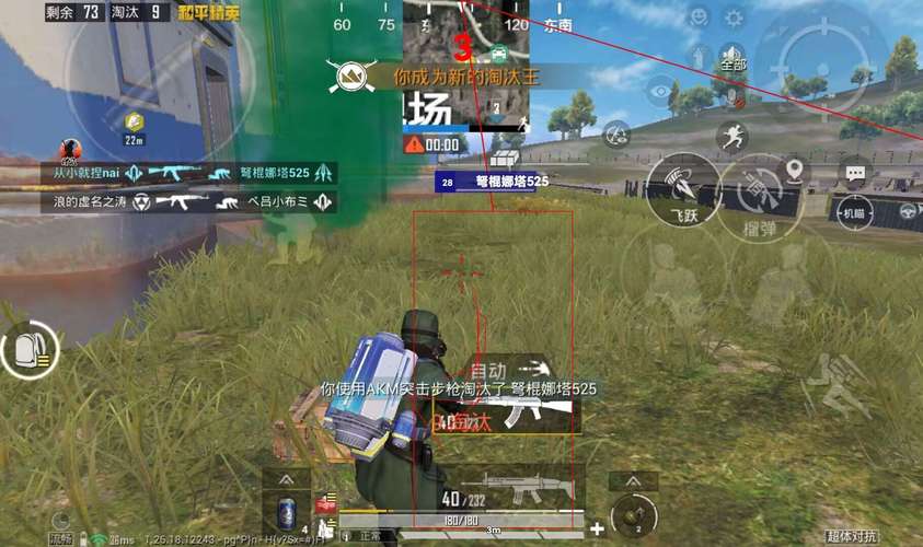 和平精英透视免费版